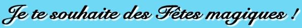 fetesmagiques.jpg (15919 octets)